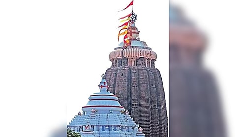Sources said the social media team of CB has been continuously monitoring online platforms to detect fake hotel booking websites ahead of Rath Yatra
