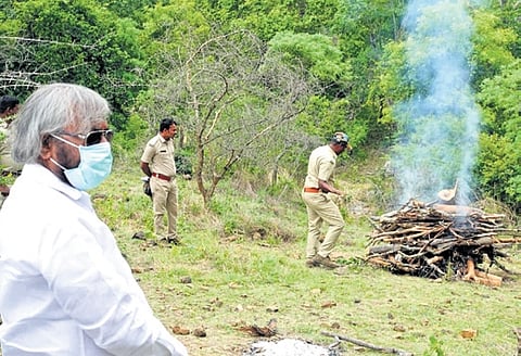 Karnataka Forest Minister Eshwar Khandre and other forest officials attend the cremation of the tigress and cubs at the MM wildlife division on Friday.