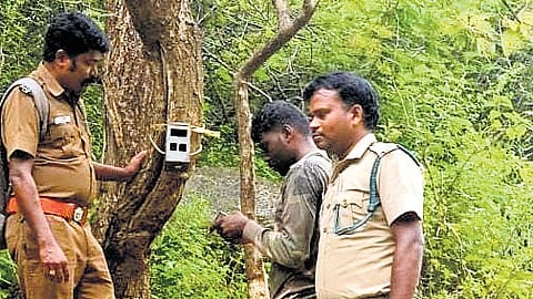 Boluvampatti forest range staff placed 10 pairs of camera traps at Kuppepalayam near Devarayapuram on Friday.