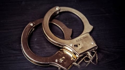 Initially, Puja attempted to mislead the investigating officer with contradictory statements but eventually broke down and confessed to the crime.