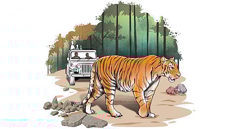 Image used for representative purposes only.