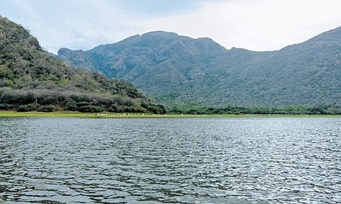 Several residents pointed out that many small restaurants in the village were forced to shut after Covid.