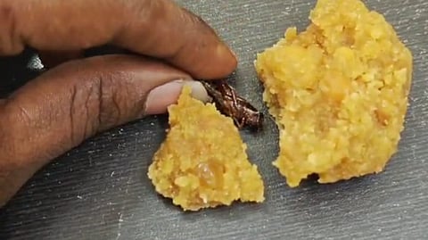 Cockroach allegedly found in Srisailam laddu prasadam.