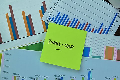 How Bajaj Finserv Small Cap Fund finds opportunity in volatility