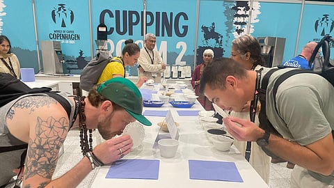 For the first time Wayanad specialty coffee was displayed at the World Coffee Conference at Copenhagen, Denmark, last year. It received good response from participants and coffee connoisseurs.