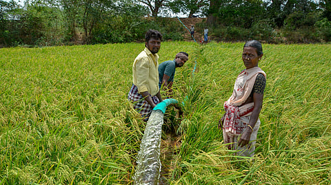 The State has successfully completed the kharif and rabi summer seasons with an increase in food production as compared to the previous year.