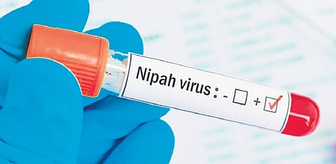 Nipah strikes again in Kerala: Teen who died tests positive, one critical
