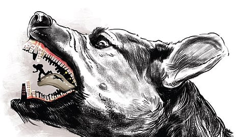 Image used for representational purposes only.