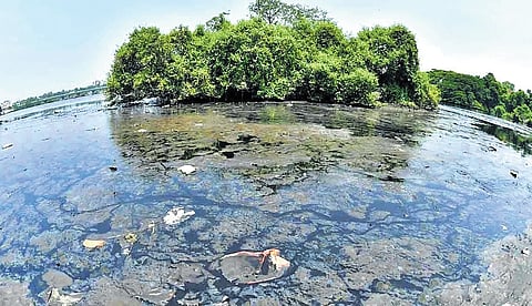 Garbage floating in Ashtamudi lake.