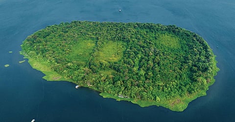 An aerial view of Pathiramanal Island in Kuttanad.