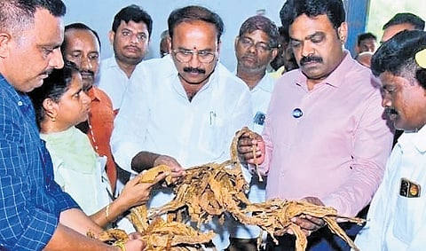 Burely tobacco procurement Centers in Bapatla