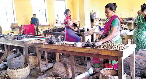 Women working at a cashew dal processing unit at Palasa