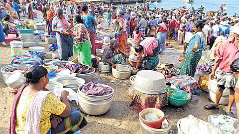 Local fish vendors wait for catch at Vizhinjam harbour in Thiruvananthapuram