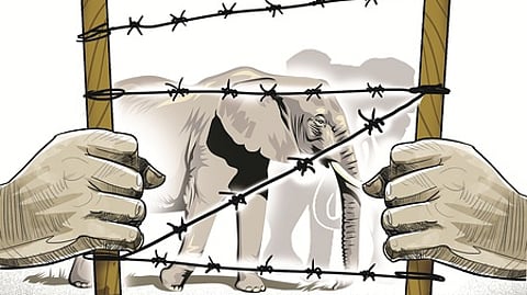 Based on public demand, officials assured them the animal would be captured.