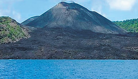 ST panel denies info on Great Nicobar project