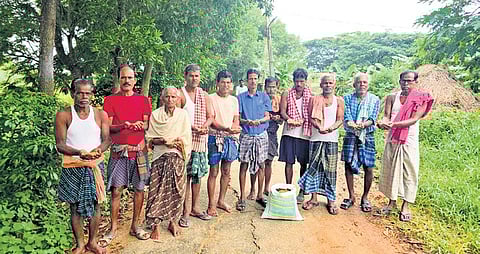 Farmers alleged that despite sowing the seeds in time, the plants failed to flower by July, a stage normally reached within 20 to 25 days of germination.