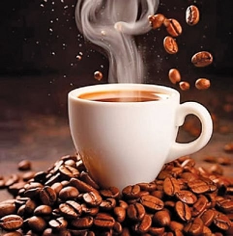 There are many types of coffee -- wine coffee, cocoa coffee, vanilla coffee and others -- that are gaining popularity. This is apart from region-specific coffees like Arakku, Bramhagiri and Pushpagiri.