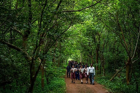 Representative image