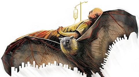 Public should watch out for symptoms like fever, headache, vomiting, confusion, insomnia, shortness of breath or fainting and seizures.