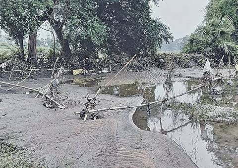 A farmland covered with fly ash following embankment breach in Jharsuguda