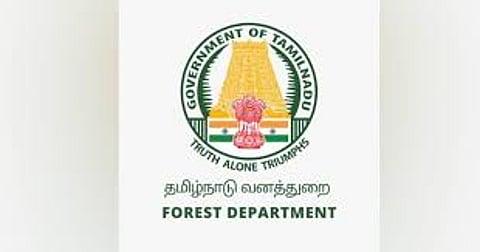 The Tamil Nadu Biodiversity Conservation and Greening Project, an initiative undertaken by the forest department in collaboration with JICA, aims to strengthen biodiversity and promote the planting of trees on private lands.