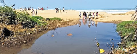 Wastewater and sewage from nearby establishments directly discharged near the beach, leaving Papanasam waterlogged and unhygienic