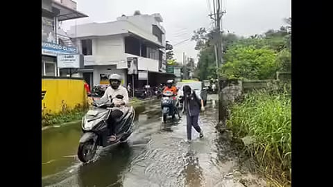 The Kaniyampuzha road that runs from Vyttila Mobility Hub to Eroor is a major shortcut that commuters use to access the Infopark, Kakkanad