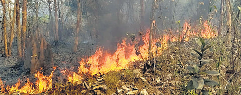 One such performer is Pramila Pradhan of Murgapahadi village in Ghatagaon block of Keonjhar district who runs Radhakrushna Sankirtan Mandali.