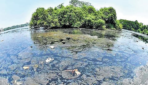 Asanikunta Lake has remained in the worst water quality category — Class E — for three consecutive months.