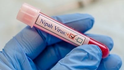 This surveillance aims to identify possible intermediate animal hosts by analysing blood samples for antibodies.