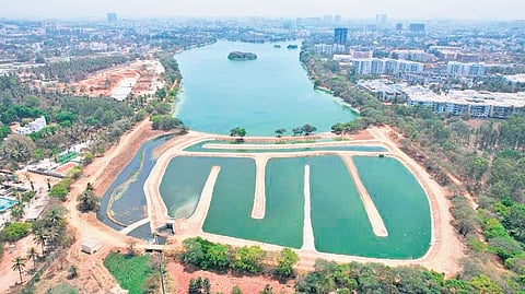 The 10-acre ‘constructed wetland’ developed near Jakkur Lake