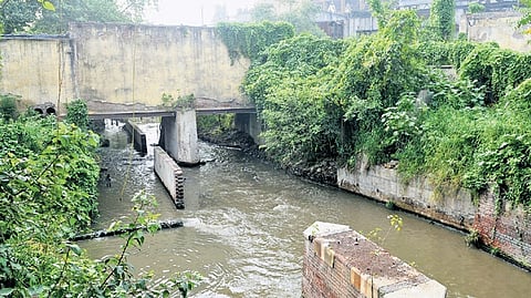 A drain near the Thermal Power Plant, adjacent to the Yamuna