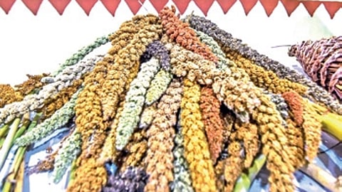 The district operates 67 Millet Shakti Tiffin Centres run by women SHGs and selling various millet based snacks and foods.