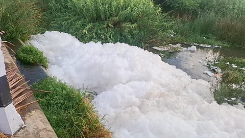 Farmers alleged that meat waste is being dumped into the river, worsening the pollution and stench.