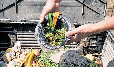 Fabbco set up two treatment plants that used black soldier fly (BSF) to process food waste in Brahmapuram in 2023, after the major fire outbreak at the dump site.