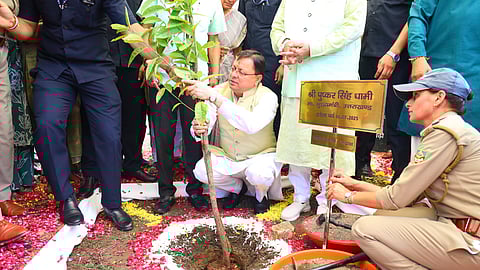 Uttarakhand chief minister Pushkar Singh Dhami planting a tree sapling on the occassion of Harela festival.