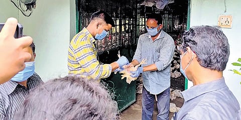 A veterinary official collecting blood sample from a sick bird in Kendrapara