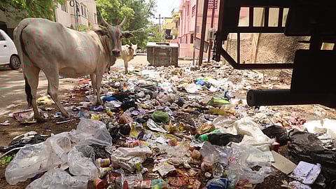 According to sources in the corporation, an average of 850 tonnes of waste is generated in the city daily.