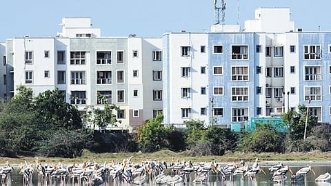 The MVG revision, expected to happen annually, should commence with an issuance of instructions and policy guidelines