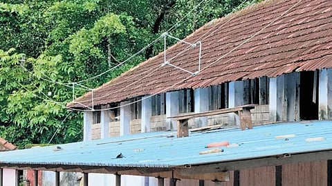 A view of the school's bicycle shed.