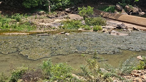 Water sources near Kollur Mookambika Temple being contamined due to the mindless discharge of sewage water.