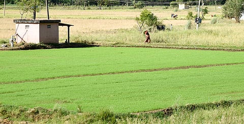 Image used for representative purpose.