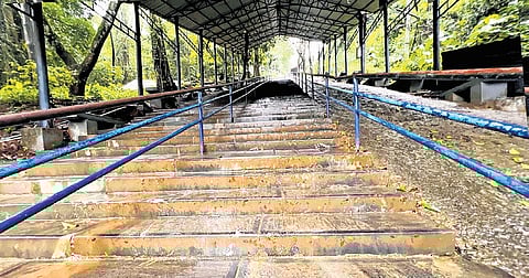 The Neelimala path, a traditional route to the Sabarimala temple.