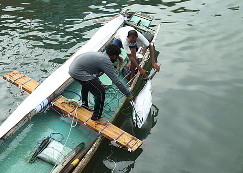 As many as 700 mechanised boats are expected to stay off the sea as part of the strike.
