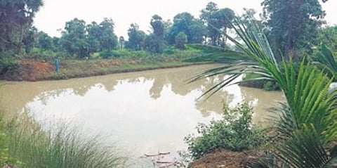 The pond at Nayak’s farmhouse in Angul’s Chhendipada
