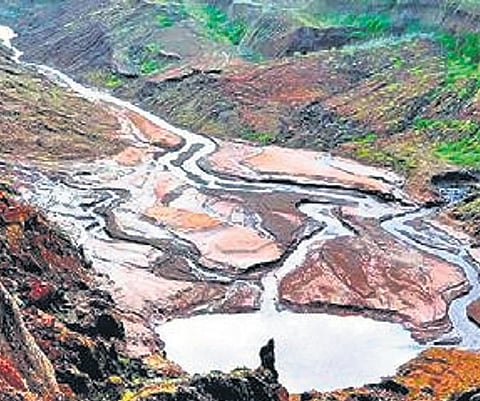 Mahadayi river