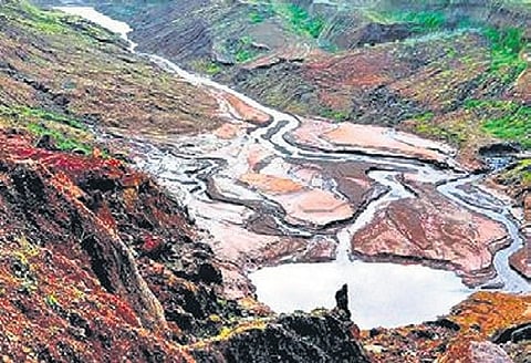 Sawant had told the Goa Assembly on Tuesday that he was told by Union Minister of Environment, Forest and Climate Change Bhupender Yadav that the Centre would not permit Mahadayi project.