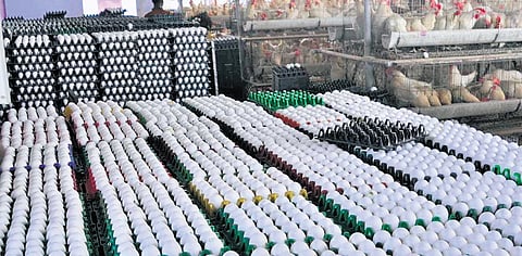 The Sawan month, which lasts from mid-July to August, is a time of religious observance across many northern states, during which people avoid consuming meat and eggs.