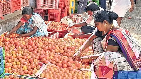 Tomatoes at a wholesale vegetable market in Dharmapuri.