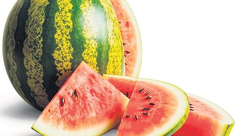 The petitioner had stated that the farmers of Chengalpattu district, where watermelons are cultivated in about 16,000 acres, suffered heavy losses and were unable to sell the produce.